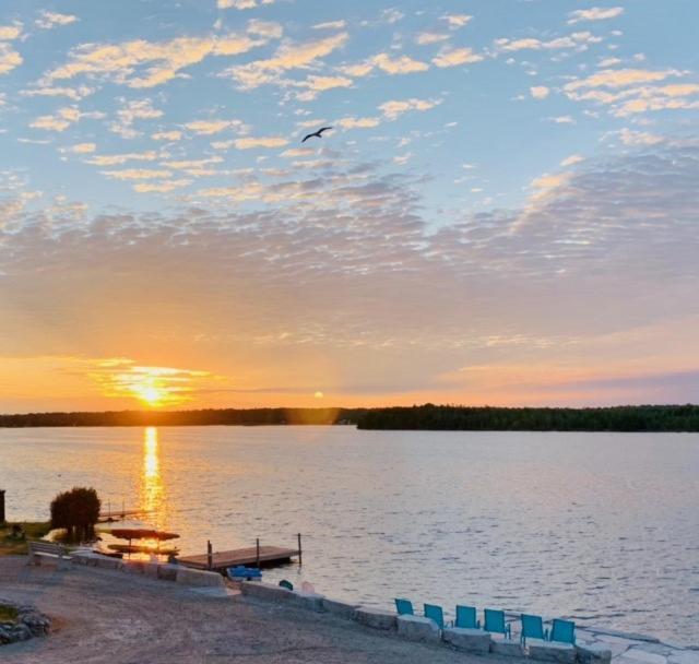Tamarac Island Motel Stokes Bay Dış mekan fotoğraf